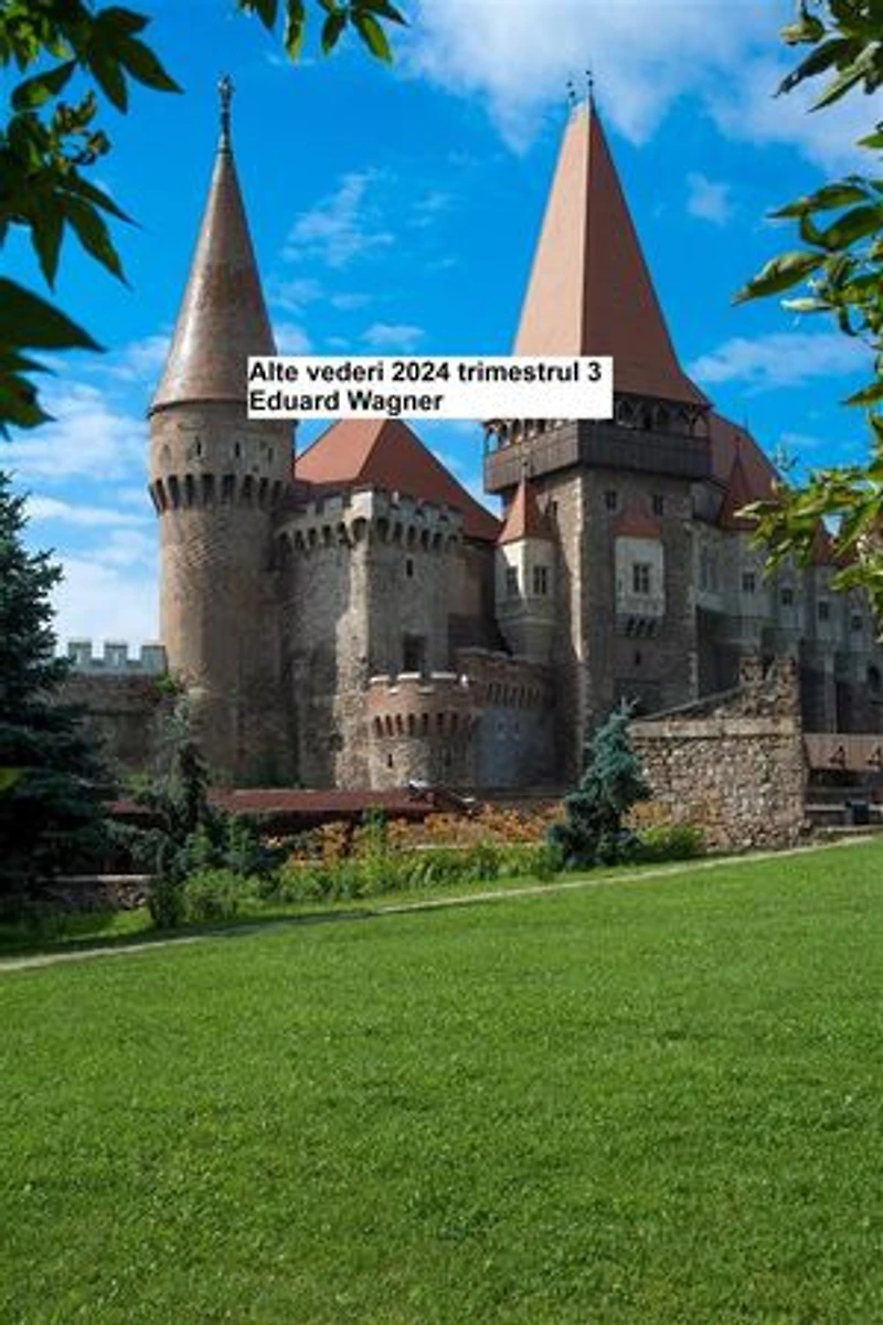 Alte vederi 2024 trimestrul 3