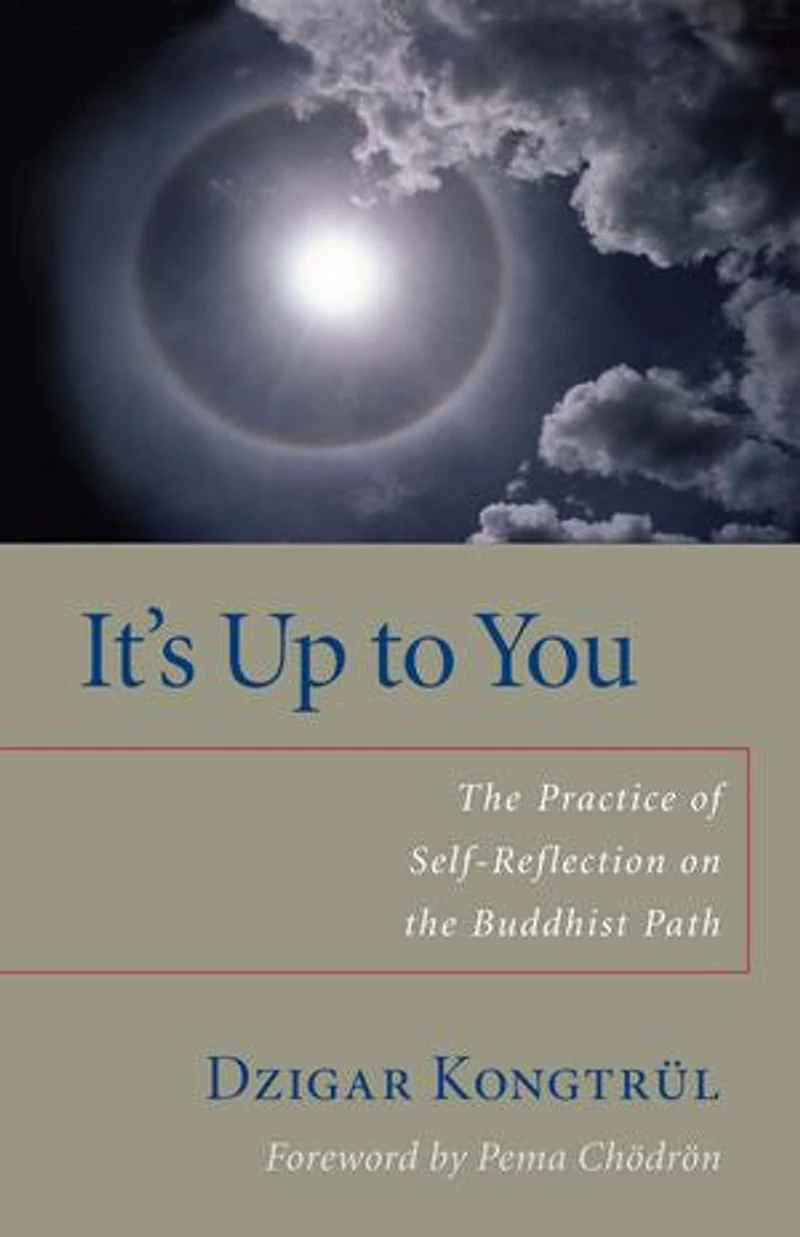 It's Up to You: the Practice of Self-Reflection on Buddhist Path