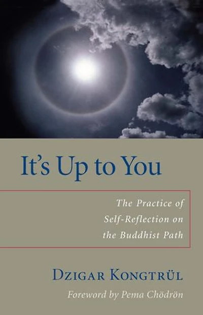 It's Up to You: the Practice of Self-Reflection on Buddhist Path