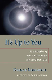 It's Up to You: the Practice of Self-Reflection on Buddhist Path