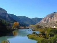 El Proyecto Silencio