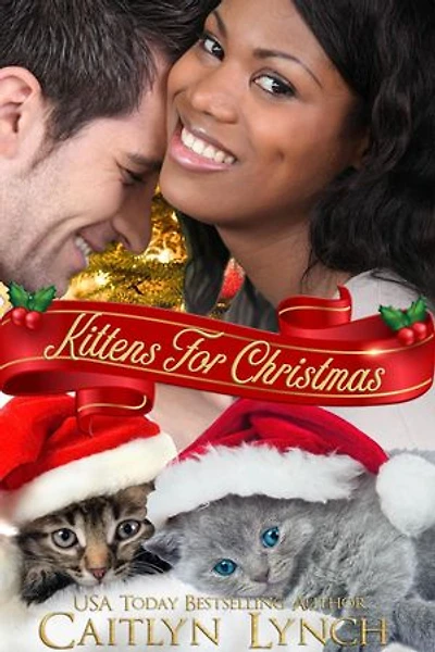 Kittens For Christmas