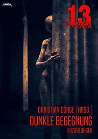 13 SHADOWS, Band 46: DUNKLE BEGEGNUNG: Horror aus dem Apex-Verlag!
