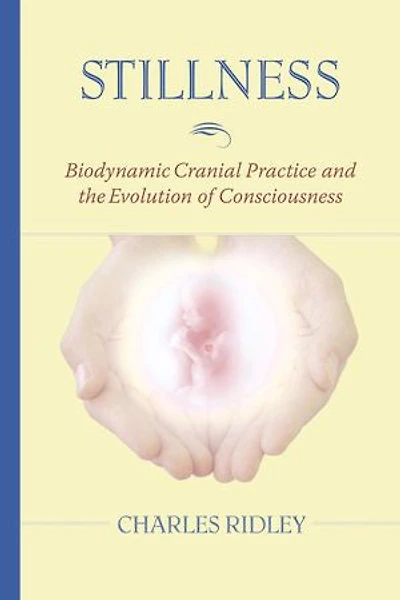 Stillness: Biodynamic Cranial Practice and the Evolution Of Consciousness