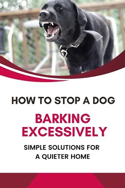 How to Stop a Dog from Barking Excessively: Simple Solutions for a Quieter Home