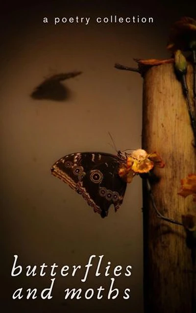 Butterflies and Moths