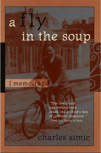 A Fly in the Soup: Memoirs