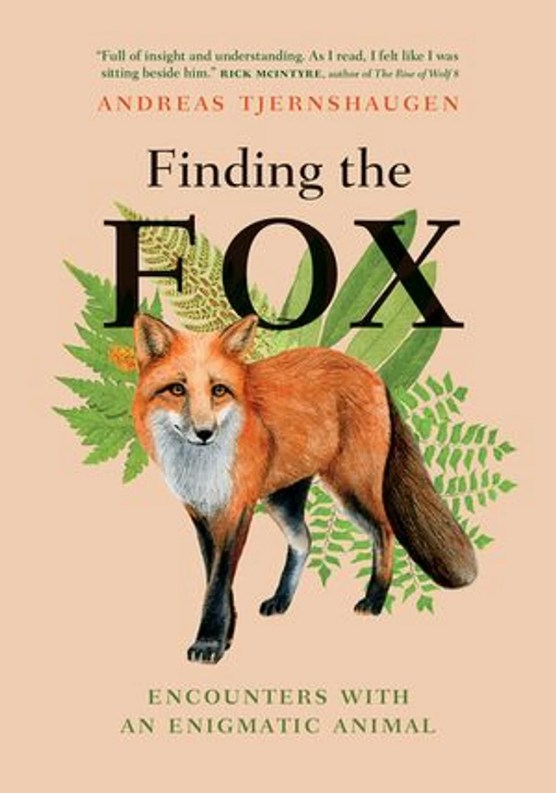 Finding the Fox: Encounters With an Enigmatic Animal