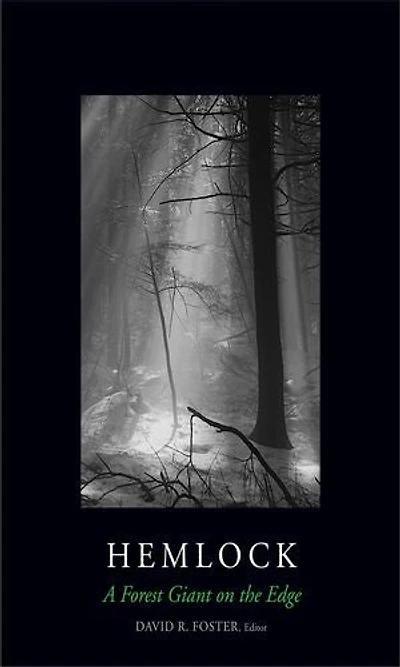 Hemlock: A Forest Giant on the Edge