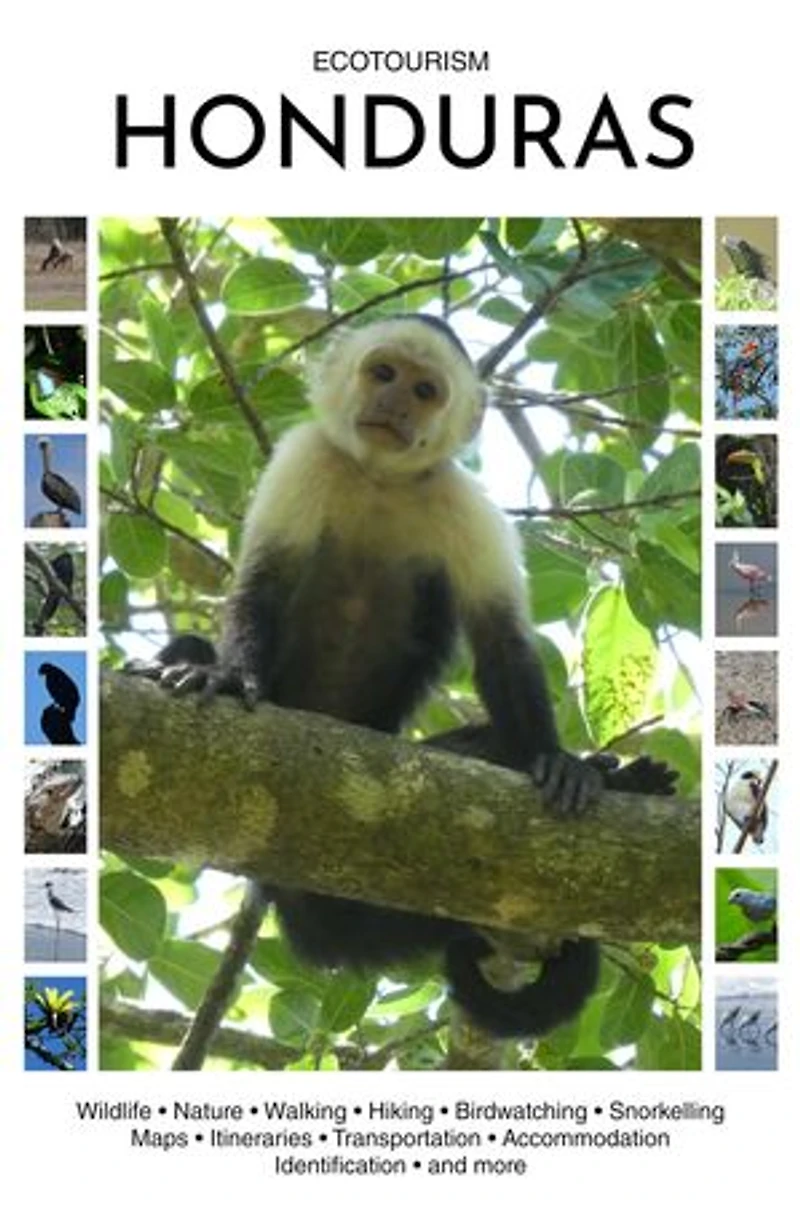Ecotourism Honduras: Wildlife, Nature, Walking, Hiking, Birdwatching, Snorkelling, Maps, Itineraries, Transportation, Accommodation, Identification and more