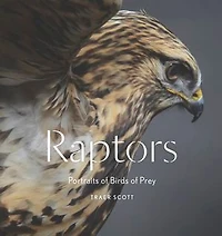 Raptors: Portraits of Birds Prey
