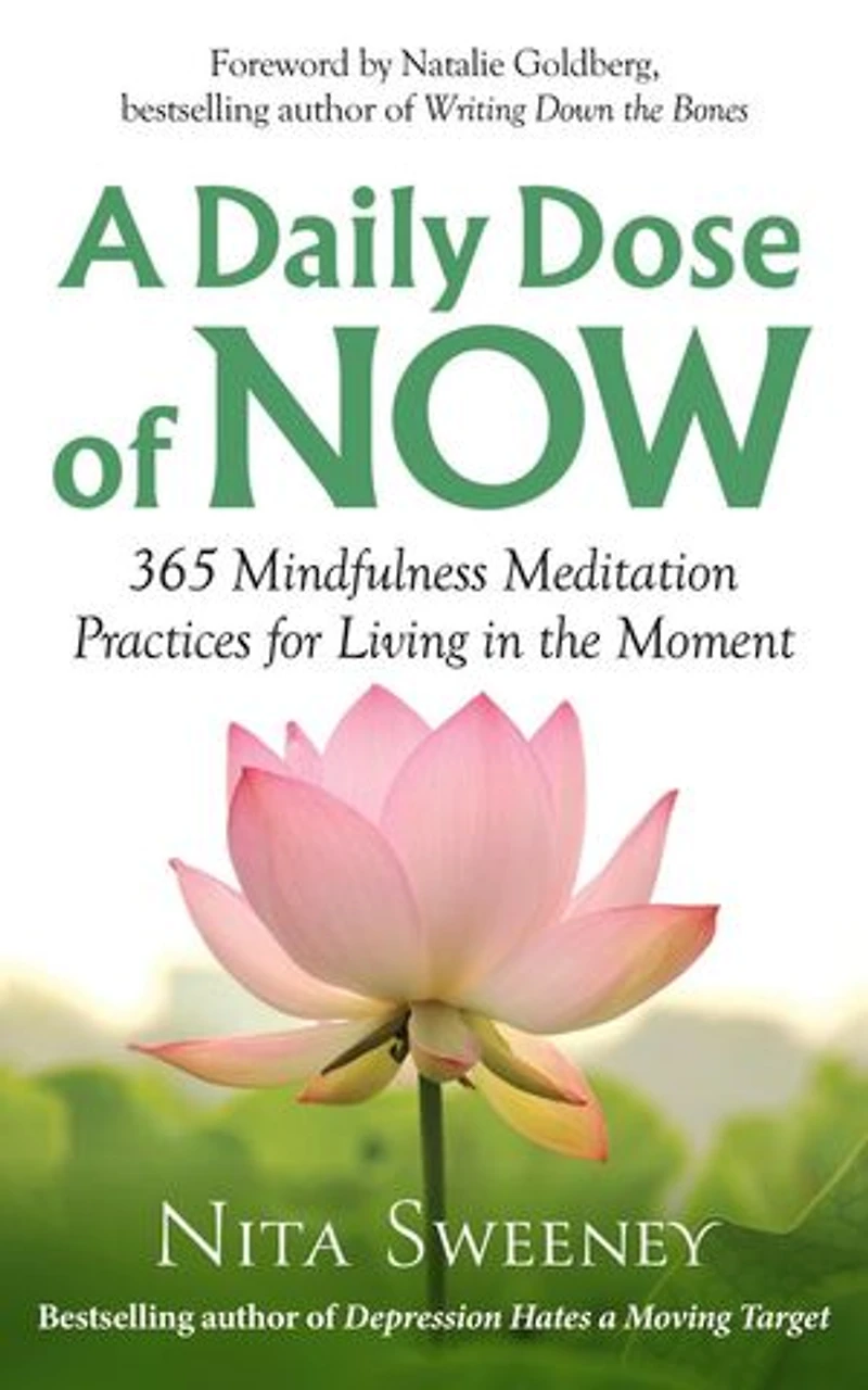 A Daily Dose of Now: 365 Mindfulness Meditation Practices for Living in the Moment