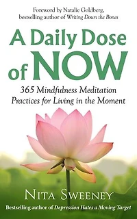 A Daily Dose of Now: 365 Mindfulness Meditation Practices for Living in the Moment