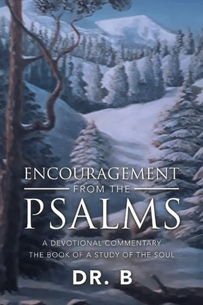 Encouragement from the Psalms: a Devotional Commentary Book of Study Soul