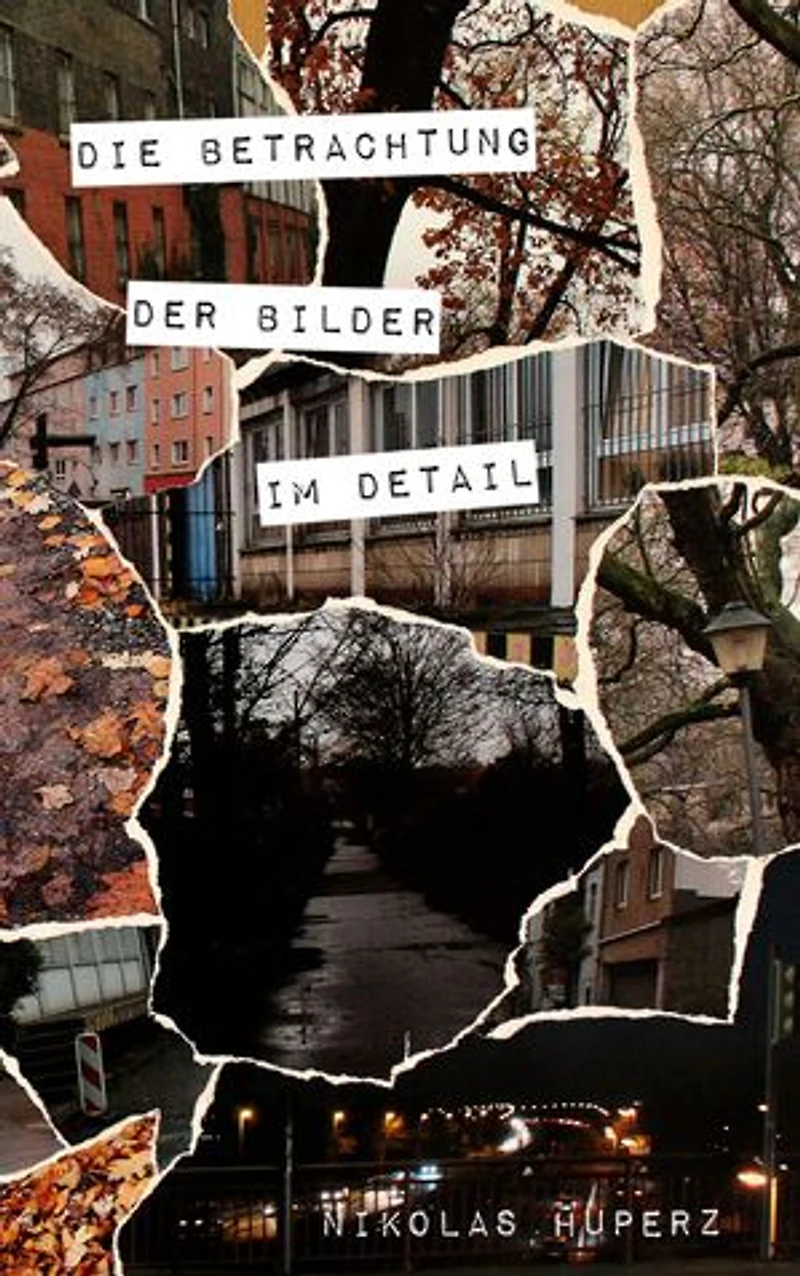 Die Betrachtung der Bilder im Detail