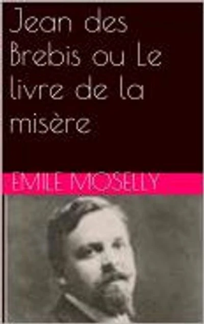 Jean des Brebis ou Le livre de la misère