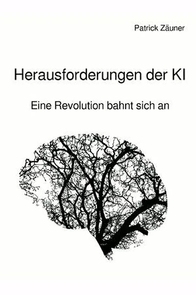 Herausforderungen der KI
