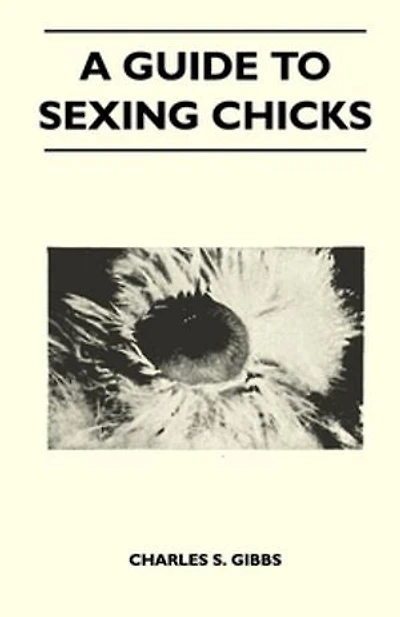 A Guide To Sexing Chicks