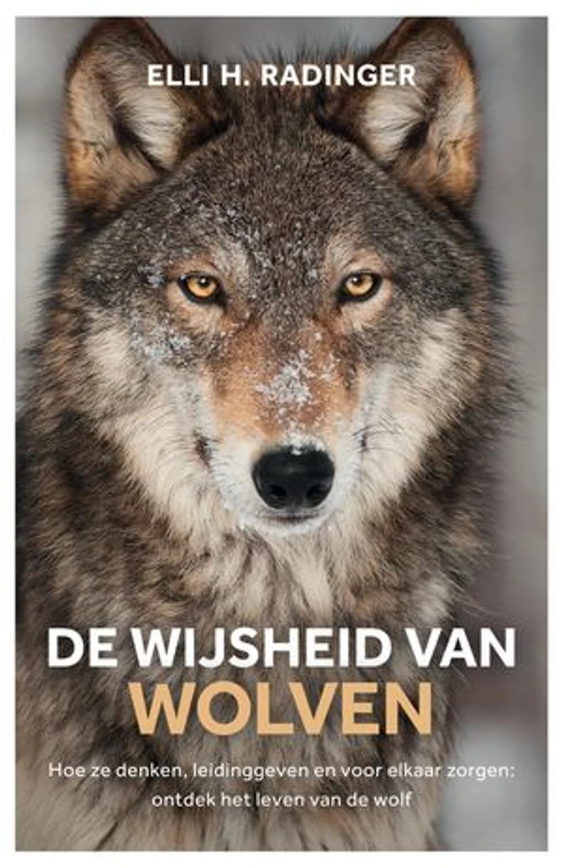 De wijsheid van wolven: Hoe ze denken, leidinggeven en voor elkaar zorgen: wat de wolf ons kan leren over mens zijn