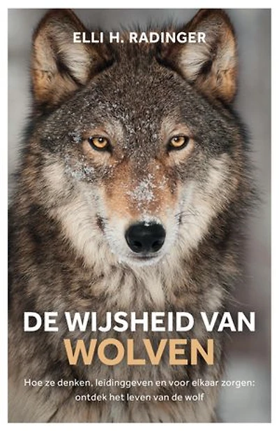 De wijsheid van wolven: Hoe ze denken, leidinggeven en voor elkaar zorgen: wat de wolf ons kan leren over mens zijn