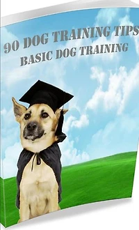 90 DOG Training Tips: Basic Dog Training, #1