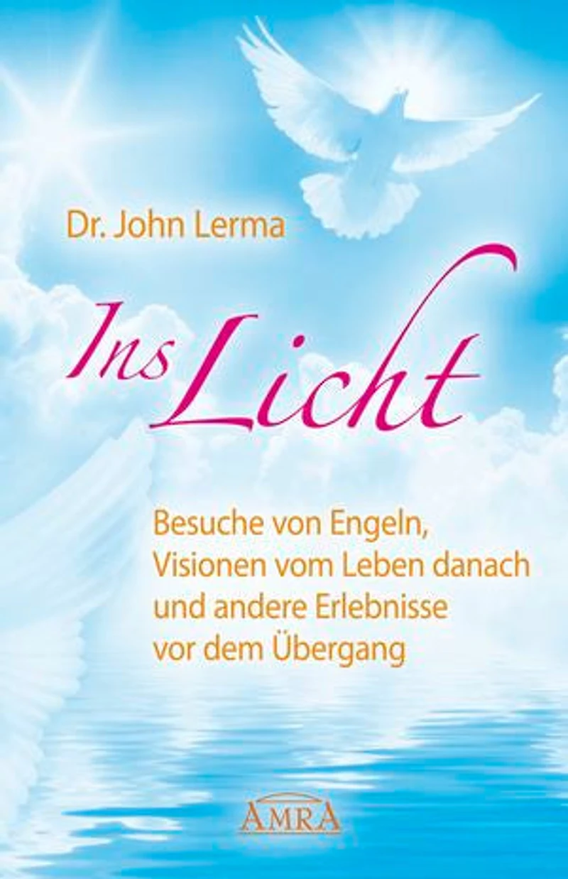 Ins Licht: Besuche von Engeln, Visionen vom Leben danach und andere Erlebnisse vor dem Übergang