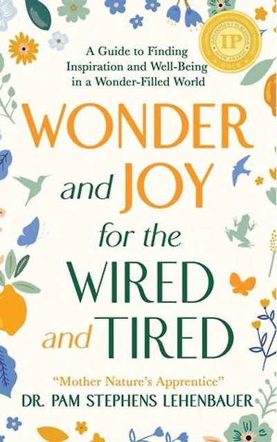 Wonder and Joy for the Wired and Tired