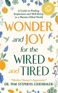 Wonder and Joy for the Wired and Tired