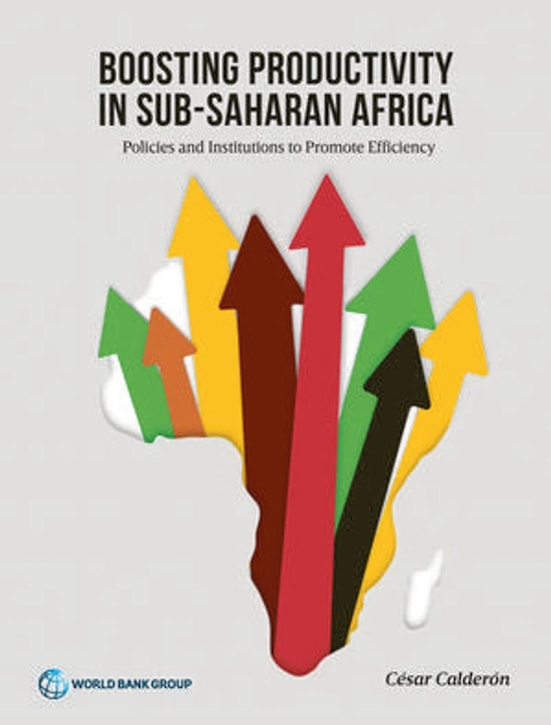 Boosting Productivity Sub-Saharan Africa: Policies and Institutions to Promote Efficiency