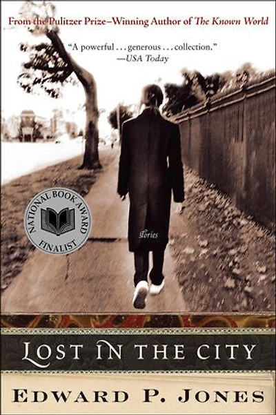 Lost the City: Stories
