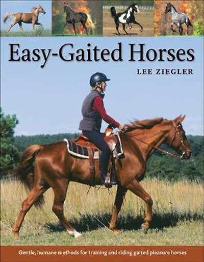 Easy-Gaited Horses: Gentle, humane methods for training and riding gaited pleasure horses