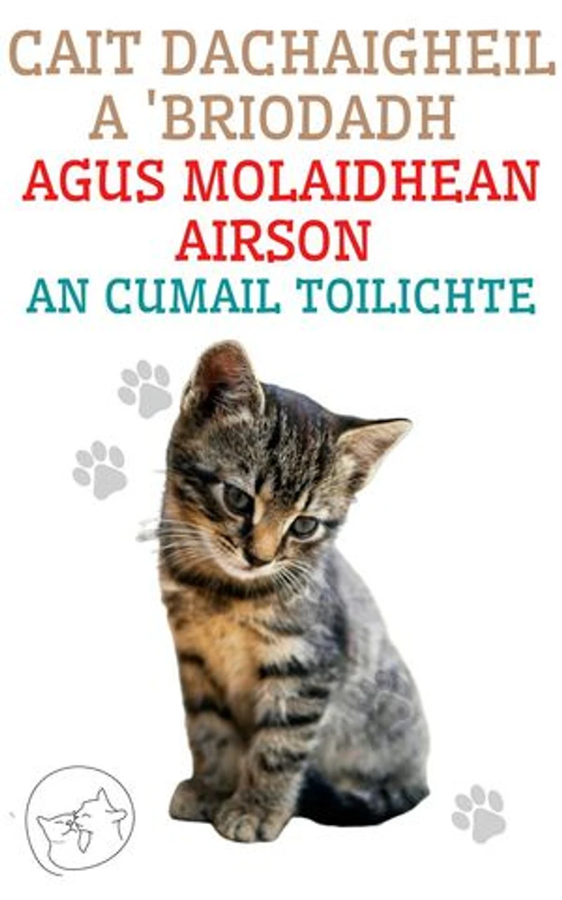 Cait dachaigheil a 'briodadh agus molaidhean airson an cumail toilichte: An stiùireadh as fheàrr airson do chat a thuigsinn agus a ghràdhachadh
