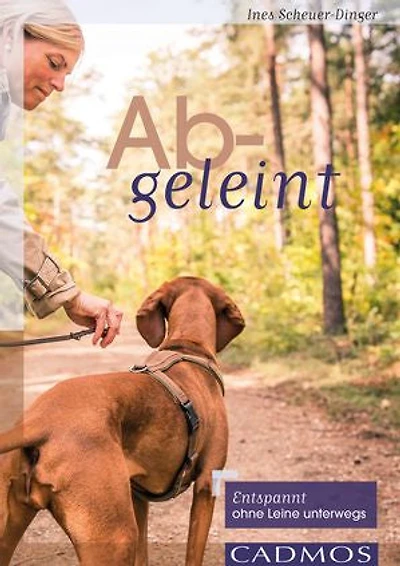 Abgeleint: Entspannt ohne Leine unterwegs