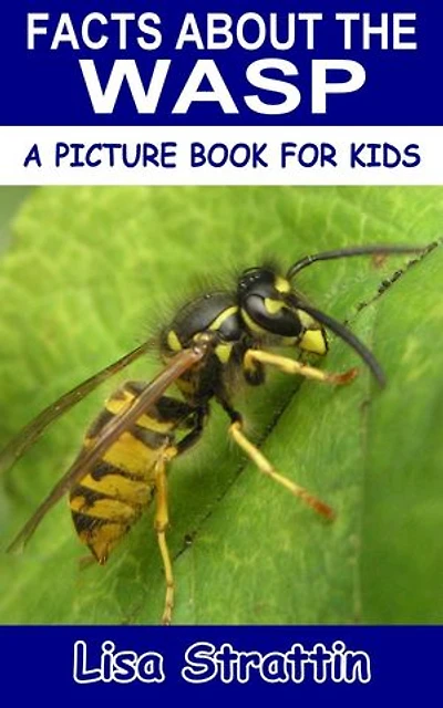 Facts About the Wasp: A Picture Book for Kids, #234