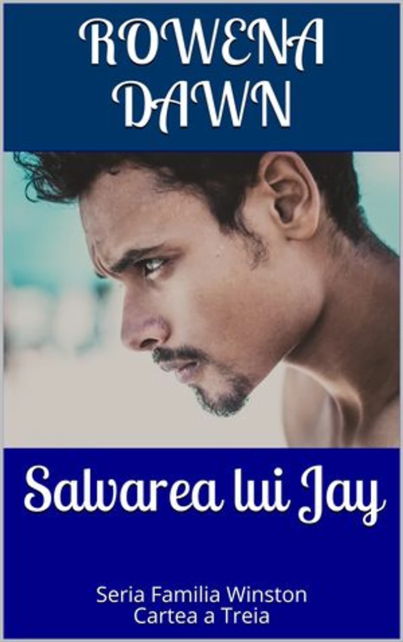 Salvarea lui Jay: Seria Familia Winston, #3