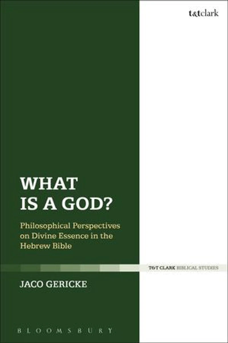 What is a God?: Philosophical Perspectives on Divine Essence the Hebrew Bible