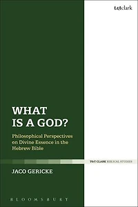 What is a God?: Philosophical Perspectives on Divine Essence the Hebrew Bible