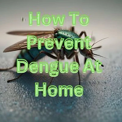 How To Prevent Dengue At Home