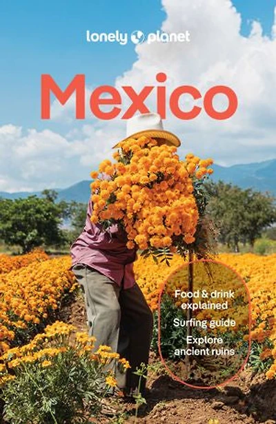 Lonely Planet Mexico 19 19th Ed.: Plan the Trip of a Lifetime, Detailed Itineraries & Maps, Insider Tips, Covers ETulum, Oaxaca, Copper Canyon and more