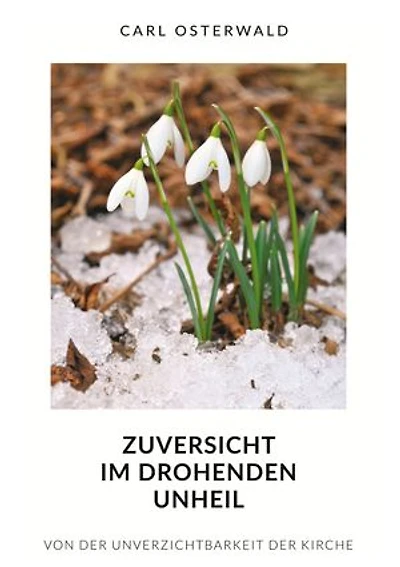 Zuversicht im drohenden Unheil: Von der Unverzichtbarkeit der Kirche