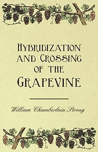 Hybridization and Crossing of the Grapevine