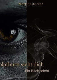 Solothurn sieht dich: Ein Blick reicht