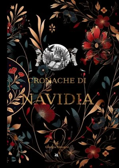 CRONACHE di NAVIDIA: Le Avventure di H ed Aly