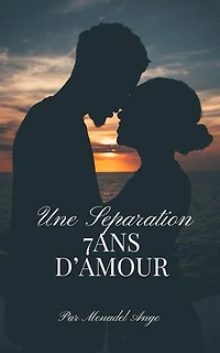 7 ans D'AMOUR une séparation: Amour, #41