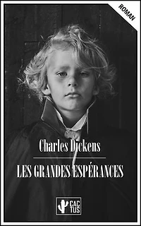 Les grandes espérances
