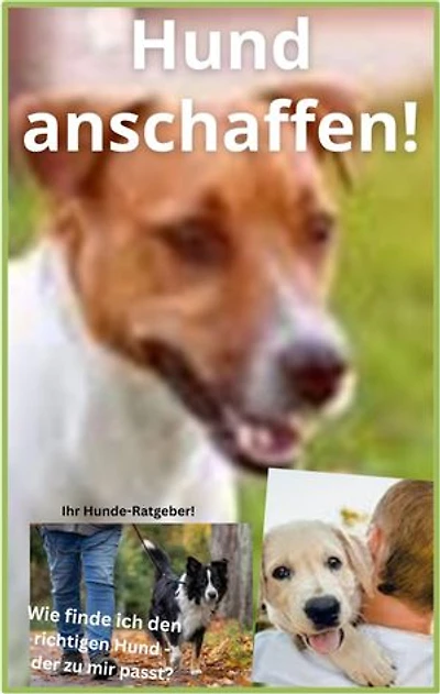 Hund anschaffen!: Wie finde ich den richtigen Hund – der zu mir passt?