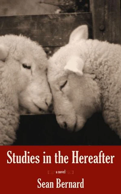 Studies The Hereafter