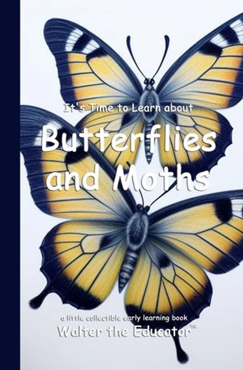 It's Time to Learn about Butterflies and Moths