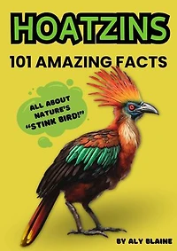 101 Facts About Hoatzins, Nature's Fascinating "Stink Bird"