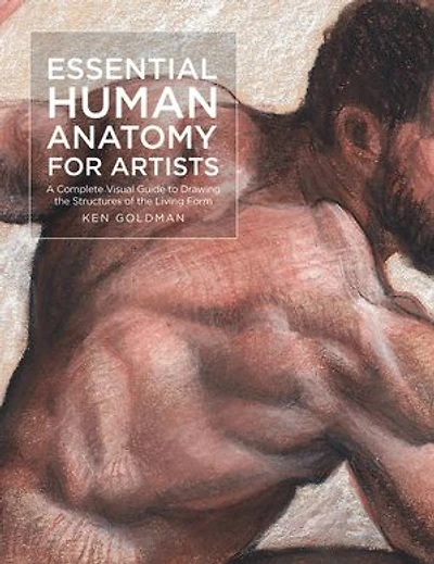 Essential Human Anatomy for Artists: A Complete Visual Guide to Drawing the Structures of Living Form